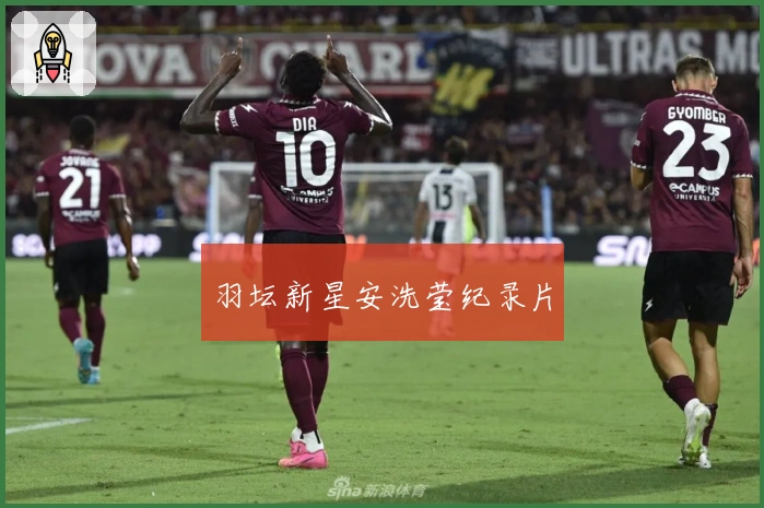 羽坛新星安洗莹纪录片