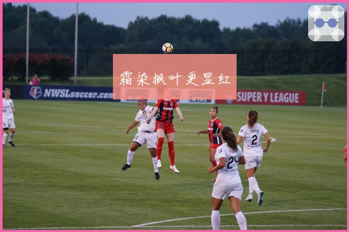 霜染枫叶更显红