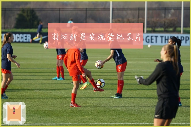 羽坛新星安洗莹纪录片