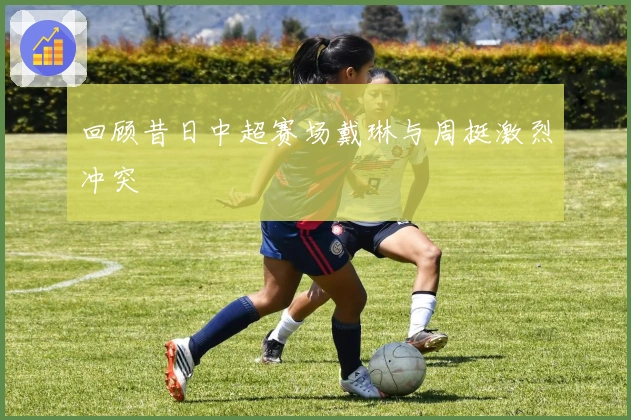 回顾昔日中超赛场戴琳与周挺激烈冲突