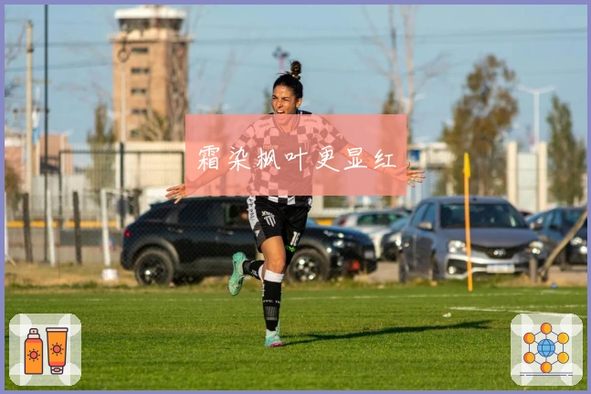 霜染枫叶更显红